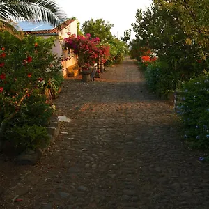  Bauernhof Hibiscus